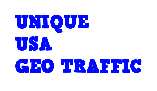 60,000 Real USA Organic TRAFFIC from Search Engine Referrals & 5 Keywords